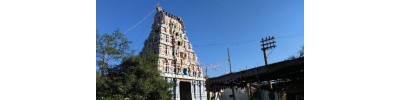 231. திருமாணிகுழி